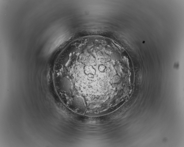 X0000091240746200708161736
