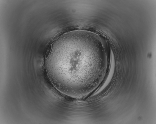 X0000091240748200708161736