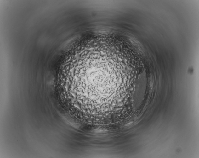 X0000091240749200708161736