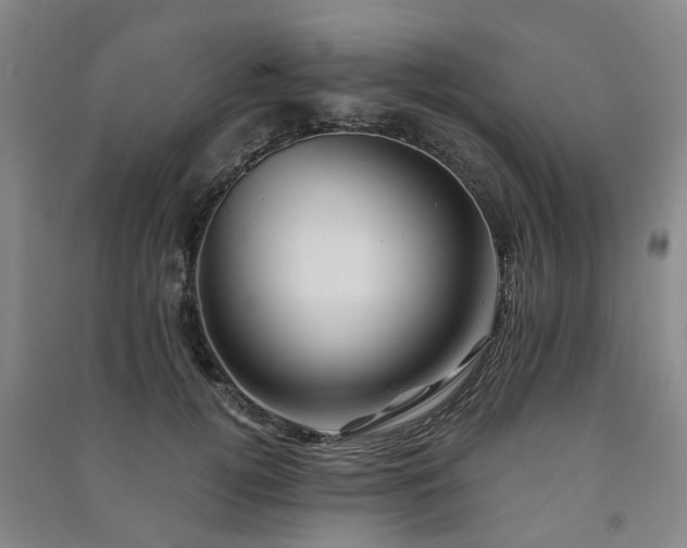 X0000091240752200708161736