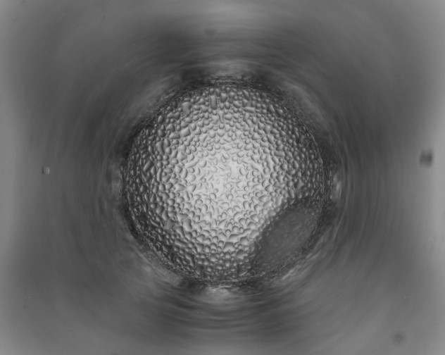 X0000091240753200708161736