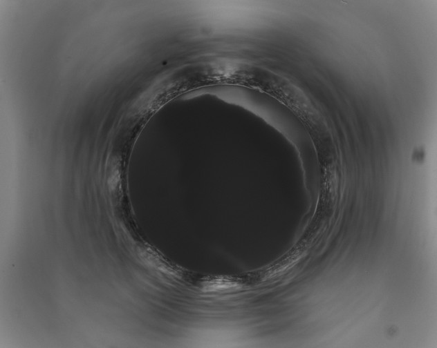 X0000091240754200708161736