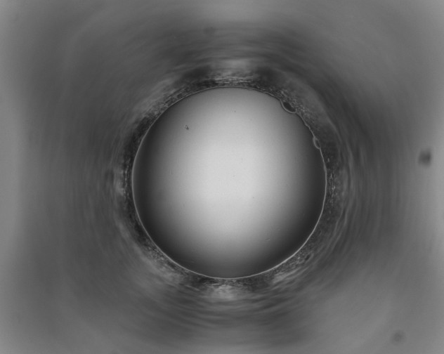 X0000091240755200708161736