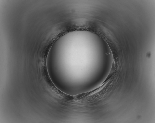 X0000091240756200708161736