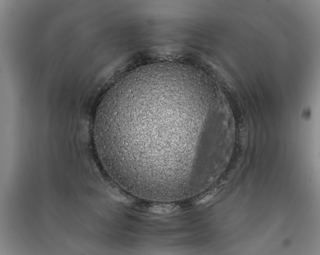X0000091240757200708161736