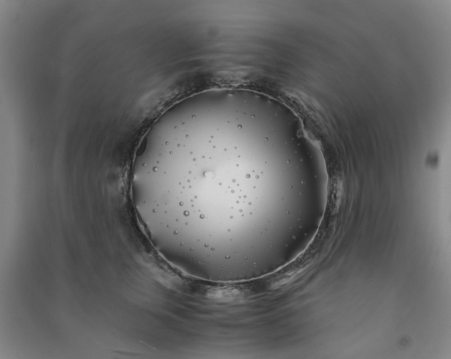 X0000091240759200708161736