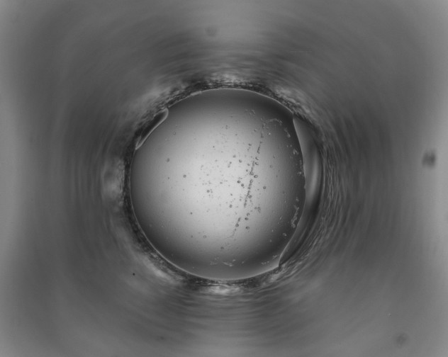 X0000091240760200708161736