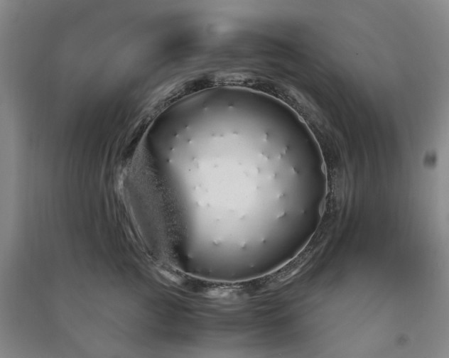X0000091240761200708161736