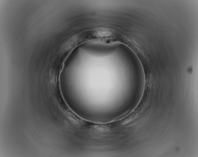 X0000091240763200708161736