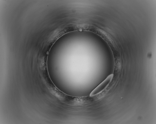 X0000091240764200708161736