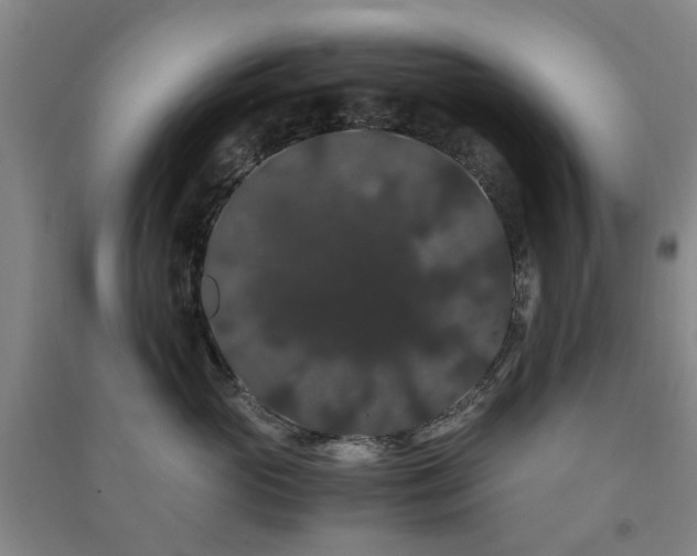 X0000091240765200708161736