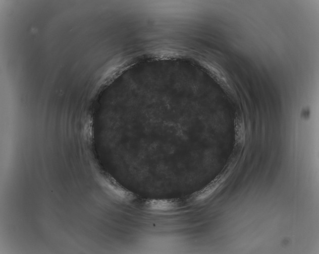 X0000091240766200708161736
