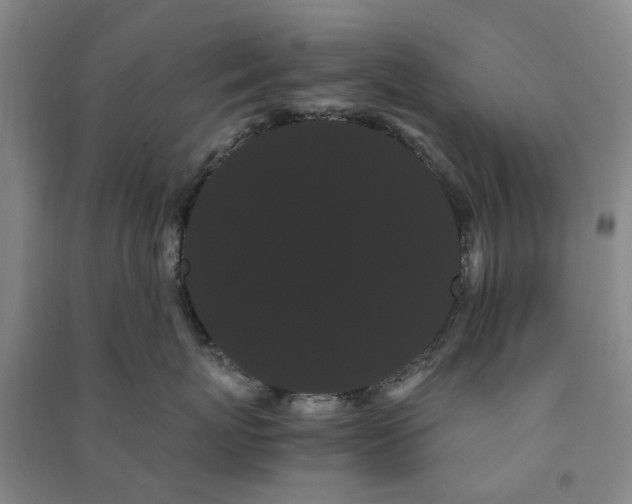 X0000091240767200708161736