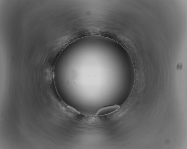 X0000091240768200708161736
