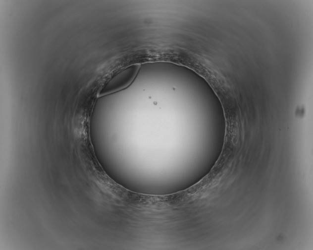 X0000091240770200708161735
