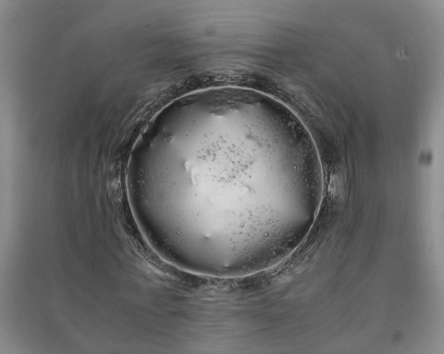 X0000091240771200708161735