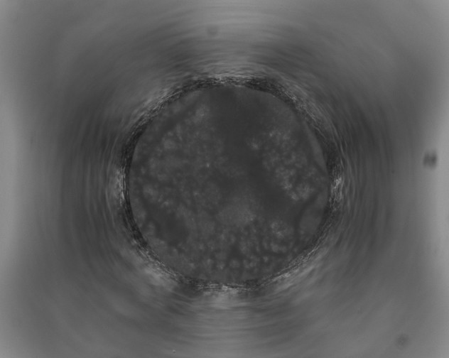 X0000091240772200708161735