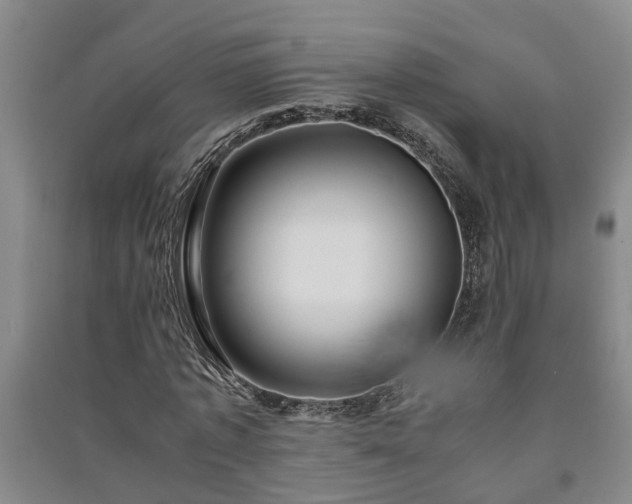 X0000091240773200708161735