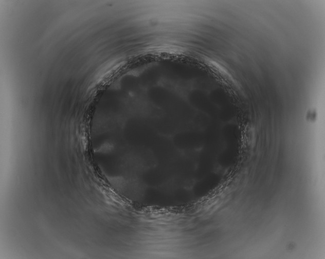 X0000091240774200708161735