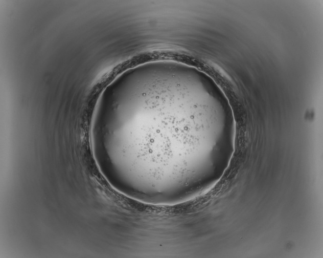 X0000091240775200708161735