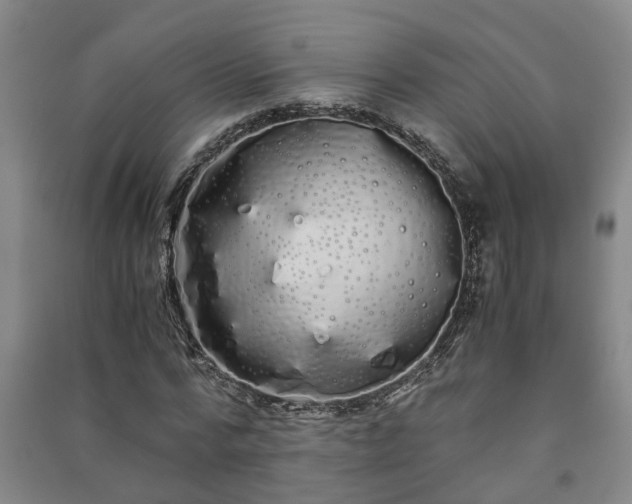 X0000091240776200708161735
