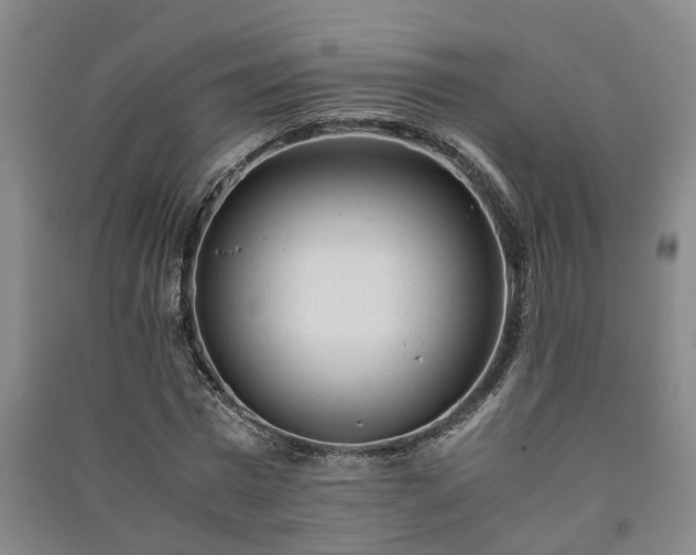 X0000091240777200708161735