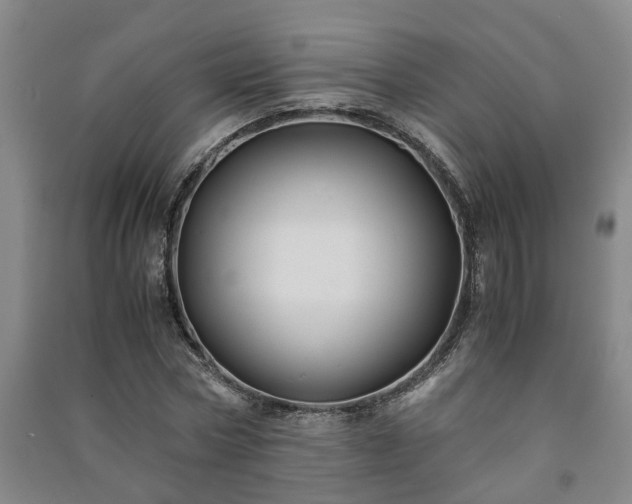 X0000091240778200708161735