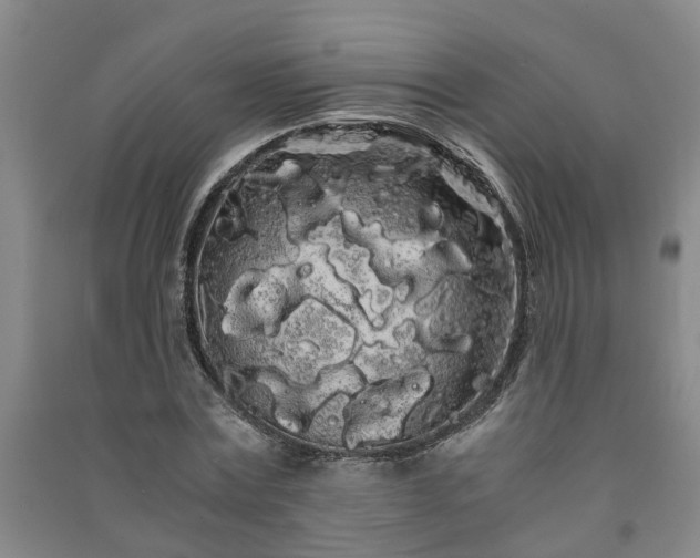 X0000091240779200708161735
