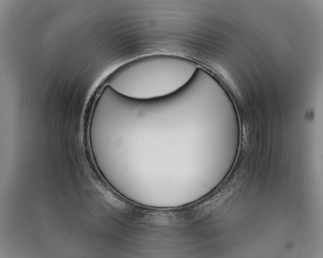 X0000091240780200708161735