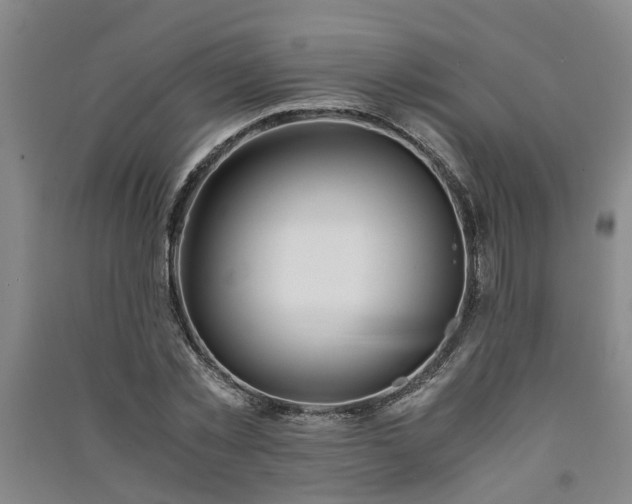 X0000091240781200708161735