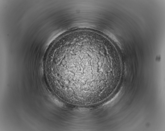 X0000091240782200708161735