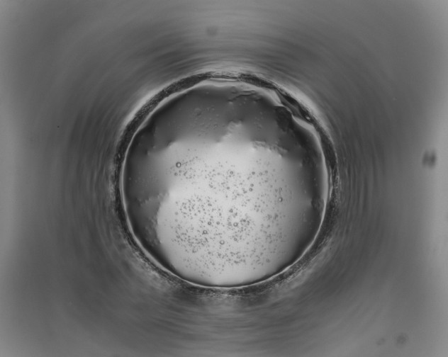 X0000091240783200708161735