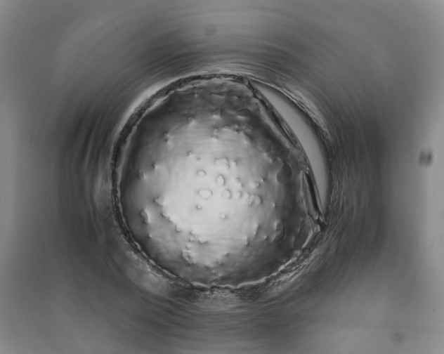 X0000091240784200708161735