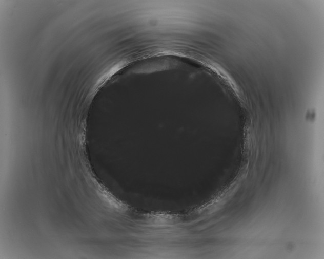 X0000091240785200708161735