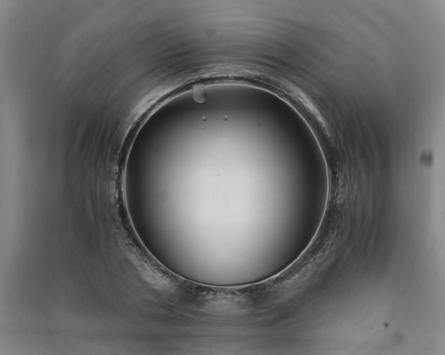 X0000091240786200708161735