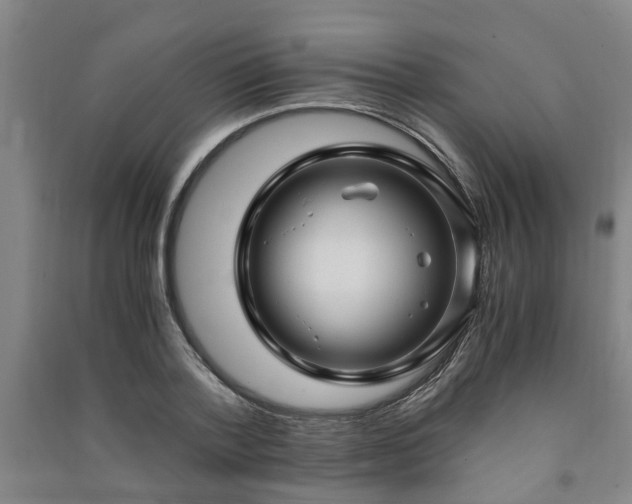 X0000091240788200708161735