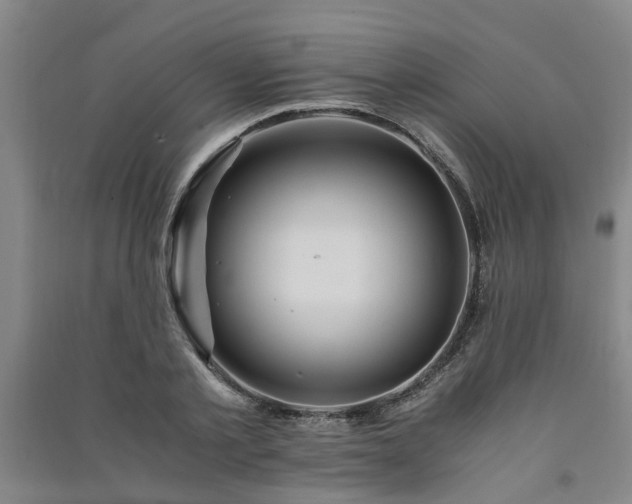 X0000091240789200708161735