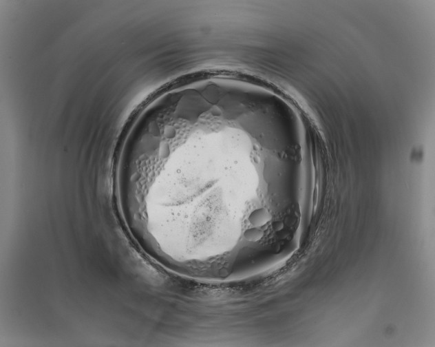 X0000091240791200708161735