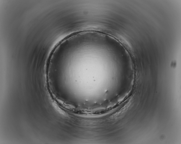 X0000091240792200708161735
