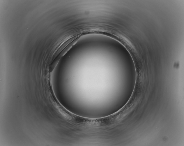 X0000091240793200708161735