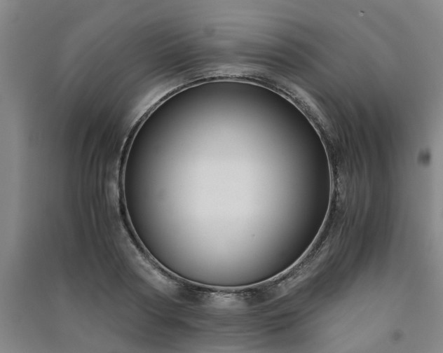 X0000091240794200708161735