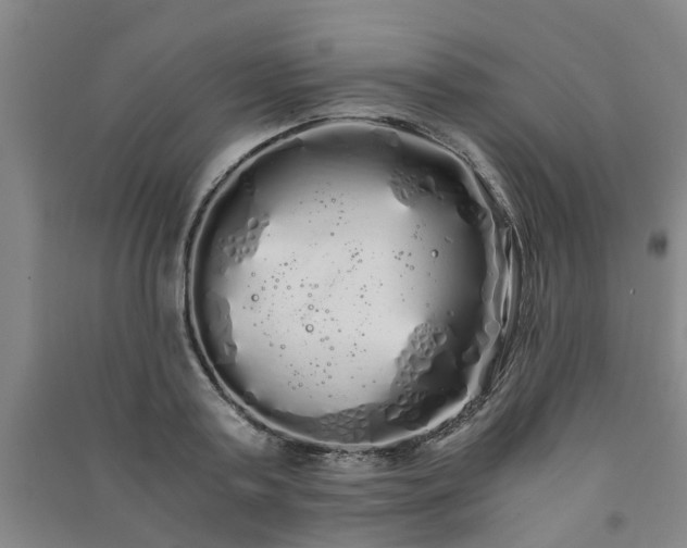 X0000091240795200708161735
