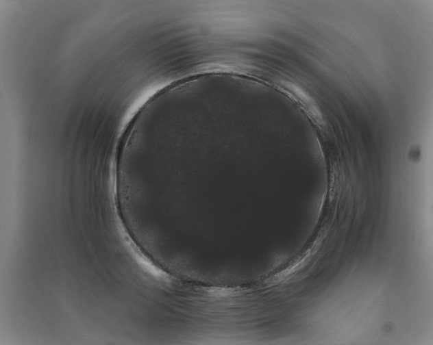 X0000091240796200708161735