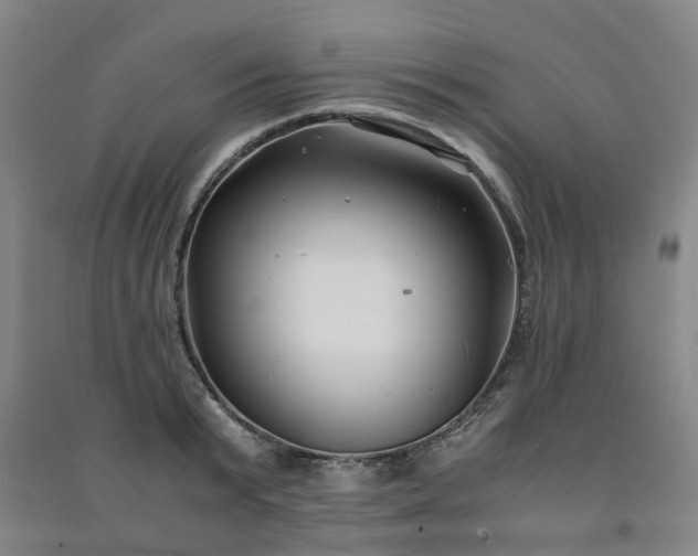 X0000091240799200708161735