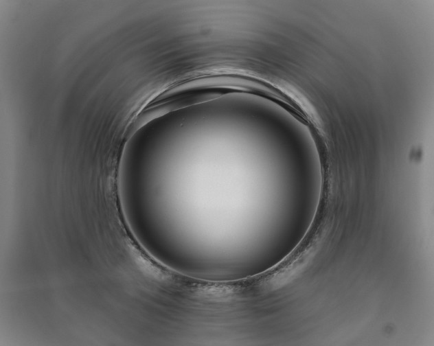 X0000091240801200708161735