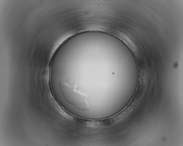 X0000091240804200708161735