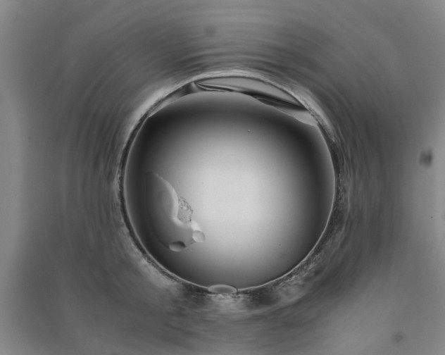 X0000091240805200708161735