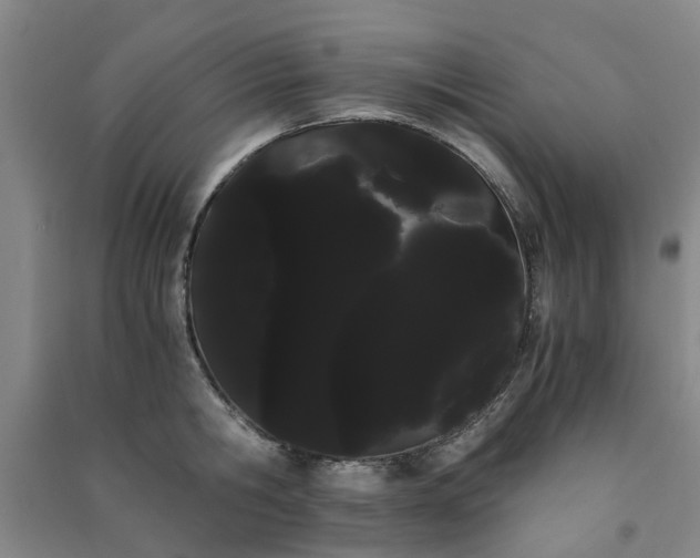 X0000091240806200708161735