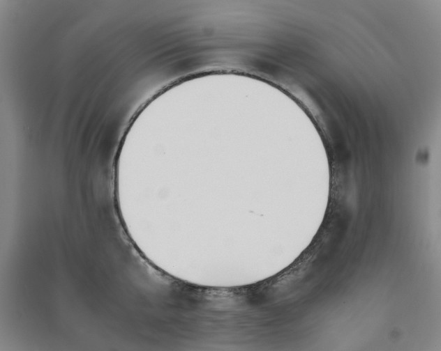 X0000091240807200708161735