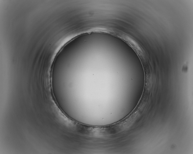 X0000091240808200708161735